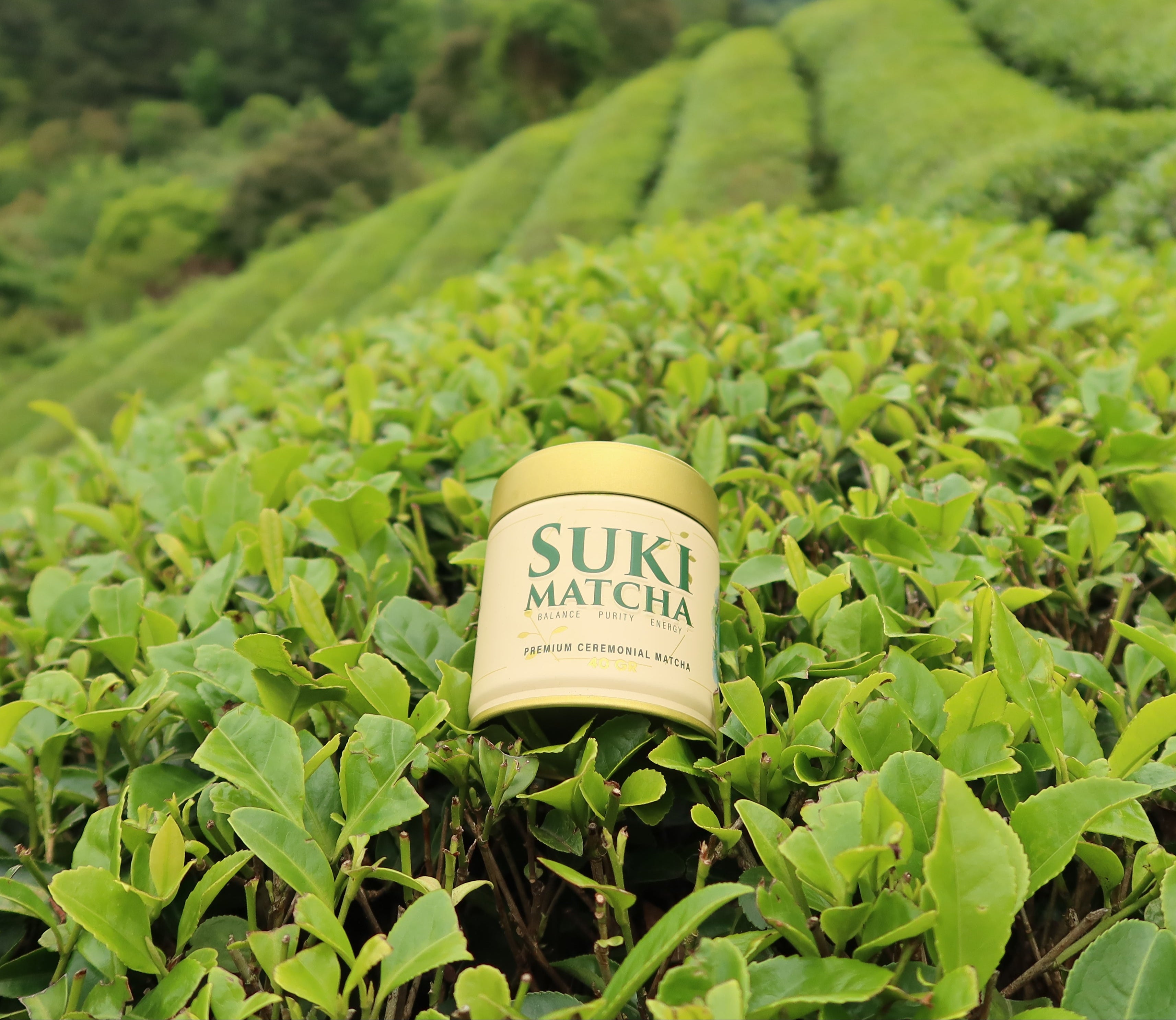 Matcha tin 40 gr
