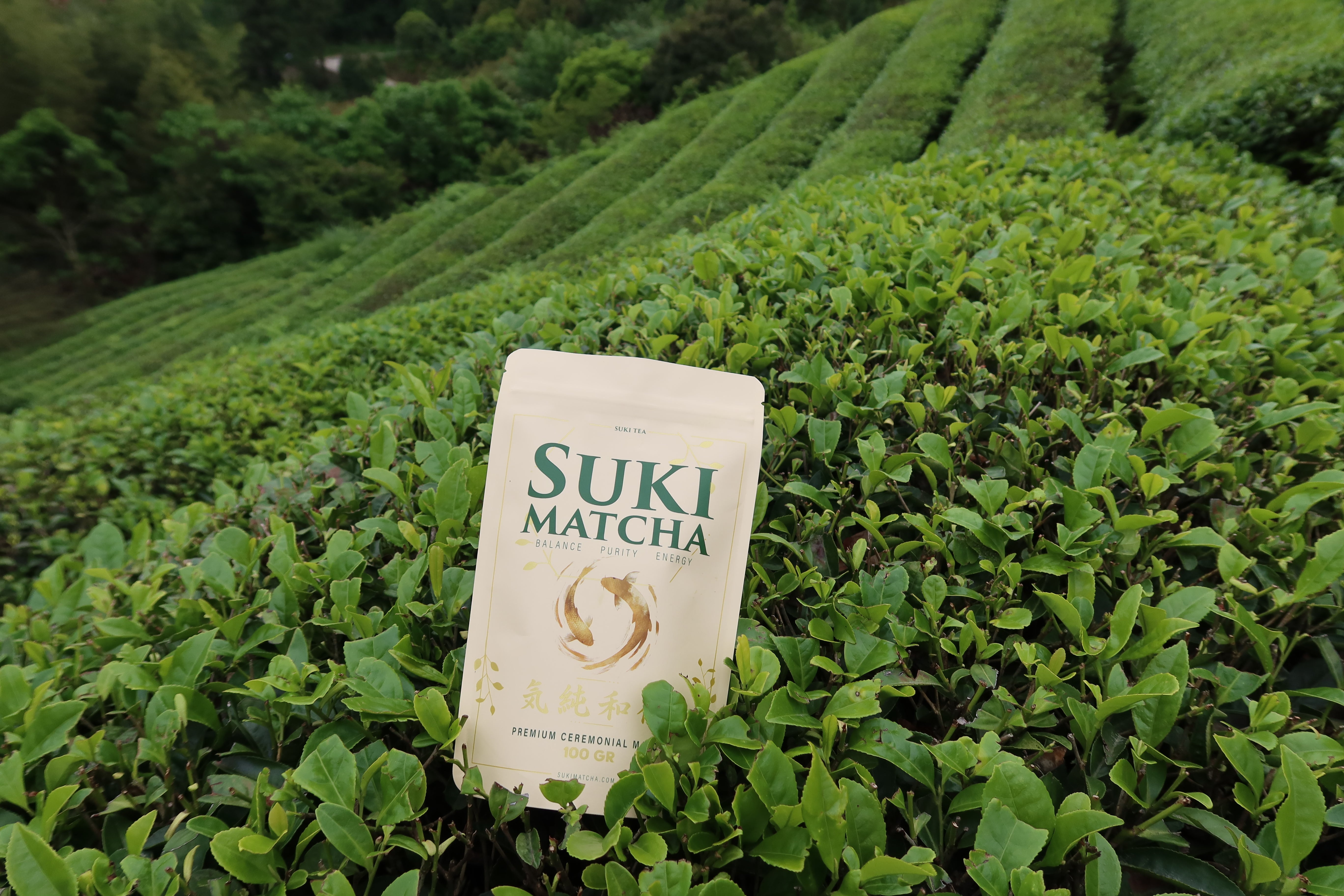 Matcha Bag 100 gr
